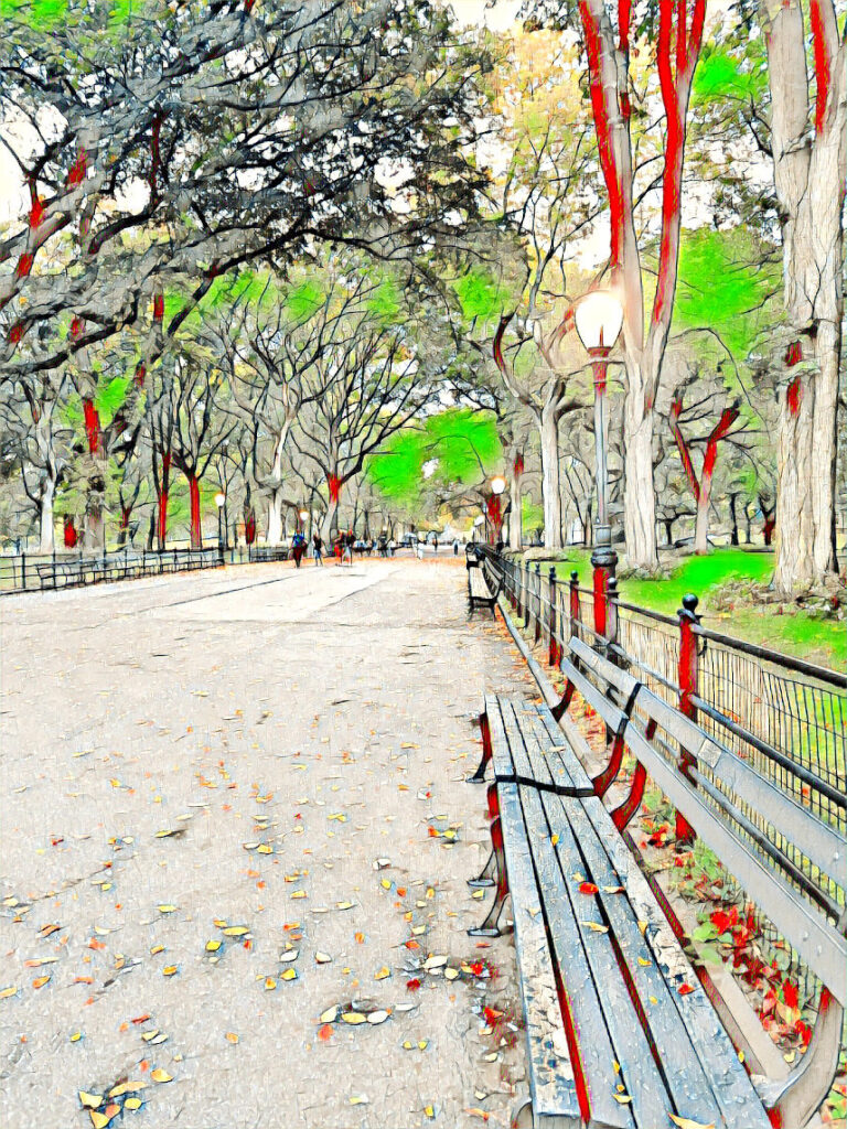 Benches in Fall in Central Park