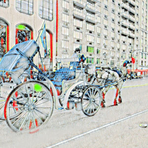 Horse carriage ride in Central Park (New York City)